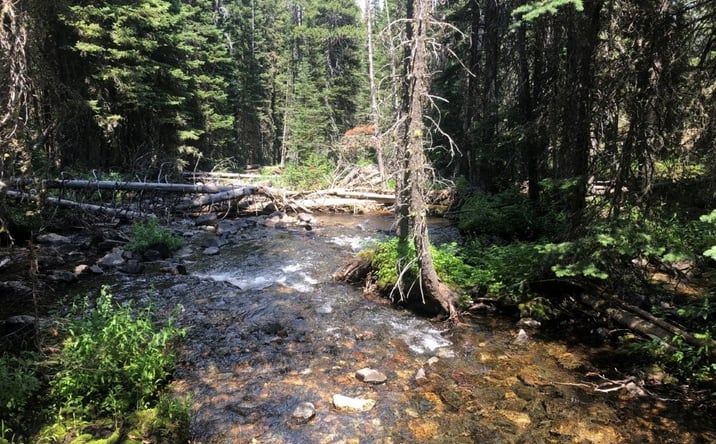 Pictures of Land property located at 7 S Boulder Road, Cardwell, MT 59721 for sales - image #1