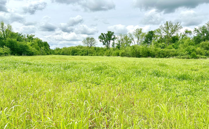 Pictures of Land property located at County Road 3450, Stratford, OK 74872 for sales - image #1