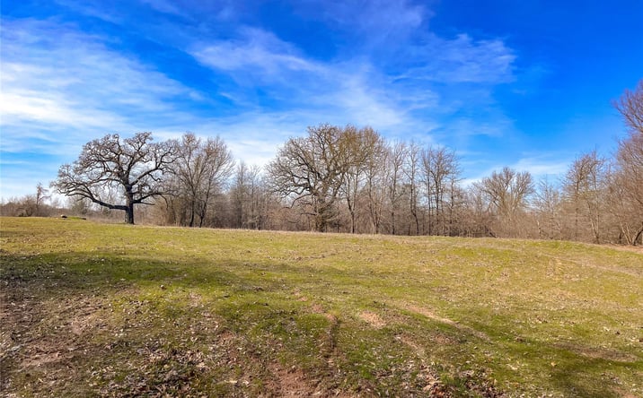 Pictures of Land property located at N 4110 Road, Eufaula, OK 74432 for sales - image #1