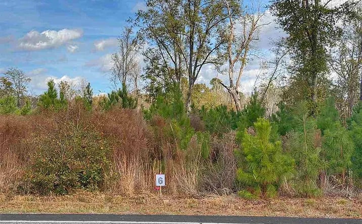 Pictures of Land property located at Lot 6 E Academy St, Latta, SC 29565 for sales - image #1