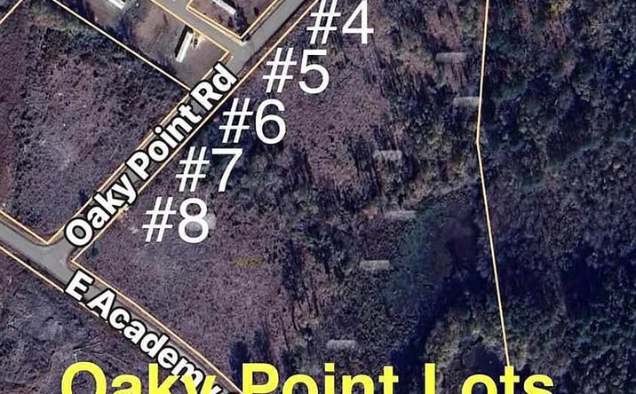 Pictures of Land property located at Lot 8 Oaky Point Rd, Latta, SC 29565 for sales - image #1