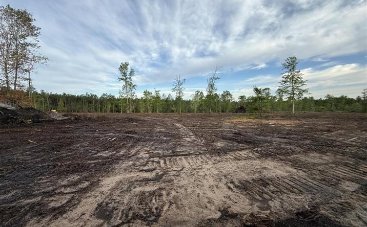 Pictures of Land property located at Hwy 110, Longville, LA 70652 for sales - image #1