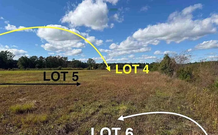 Pictures of Land property located at Lot 6 Mallory Beach Rd, Latta, SC 29565 for sales - image #1