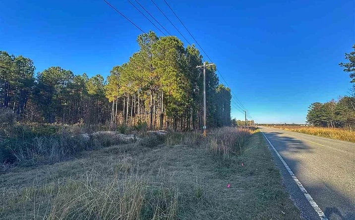 Pictures of Land property located at W Highway 34 & Dothan Rd, Dillon, SC 29536 for sales - image #1