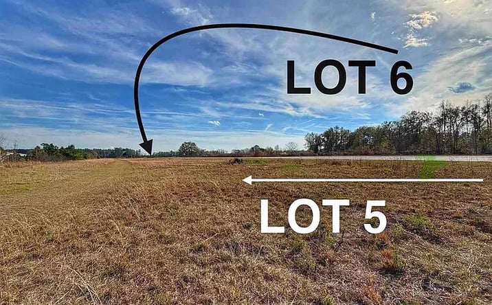 Pictures of Land property located at Lot 5 Mallory Beach Rd,, Latta, SC 29565 for sales - image #1