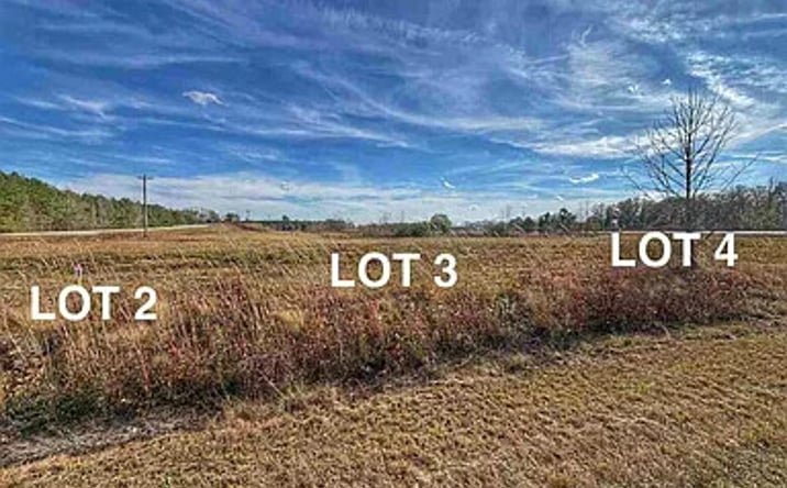 Pictures of Land property located at 3 S 17th #917, Latta, SC 29565 for sales - image #1