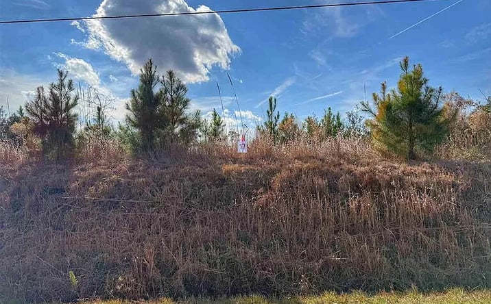 Pictures of Land property located at LOT 17 E Academy St, Latta, SC 29565 for sales - image #1
