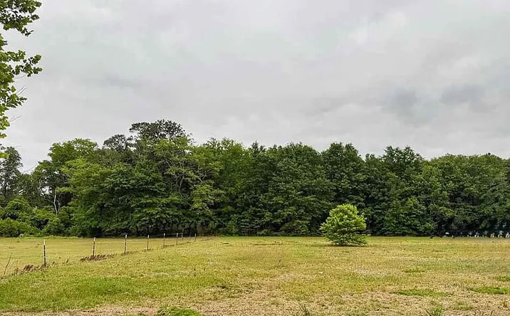 Pictures of Land property located at LOT 17 Treasure Cv, Latta, SC 29565 for sales - image #1
