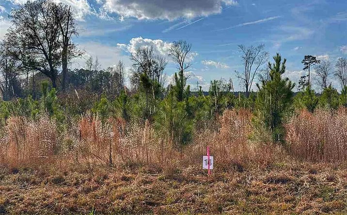 Pictures of Land property located at Lot 14 E Academy St, Latta, SC 29565 for sales - image #1