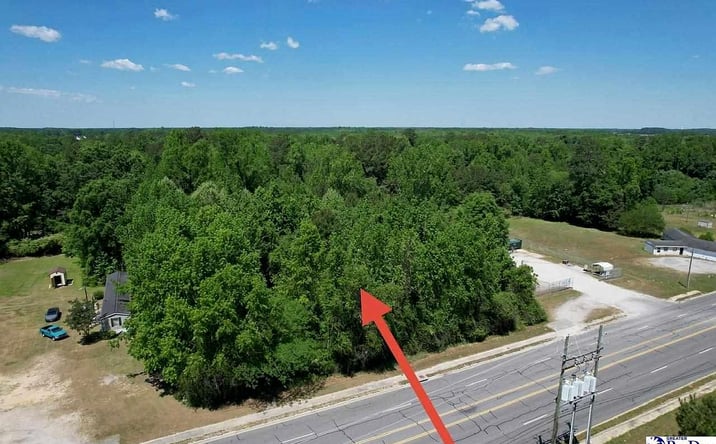 Pictures of Land property located at Highway 301 S, Dillon, SC 29536 for sales - image #1