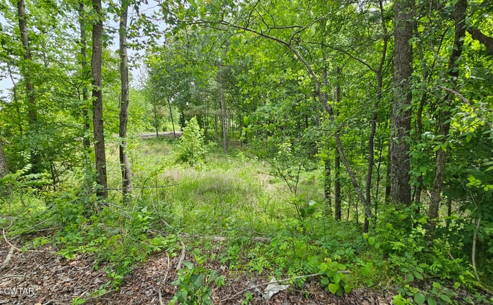 Pictures of Land property located at 104 Sidney Baird Road, Bradford, TN 38316 for sales - image #1