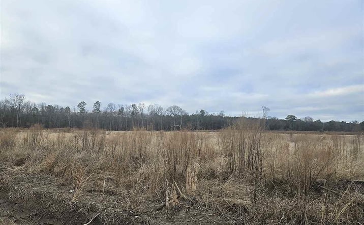 Pictures of Land property located at Sunset Dr, Latta, SC 29565 for sales - image #1