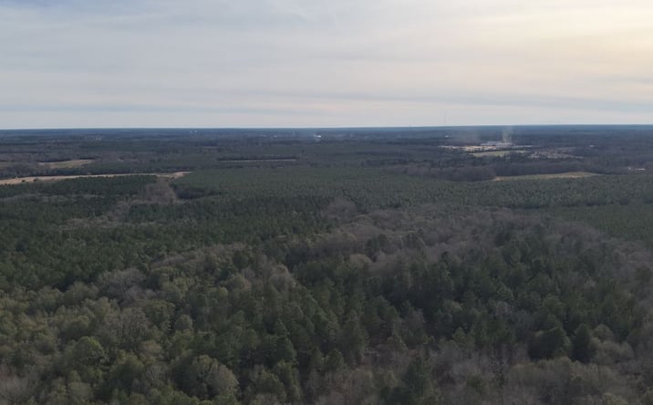Pictures of Mixed Use, Land property located at 0 Country Club Road, Sylvania, GA 30467 for sales - image #1