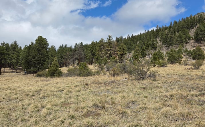 Pictures of Land property located at 62430 HWY 285, BAILEY, CO 80421 for sales - image #1