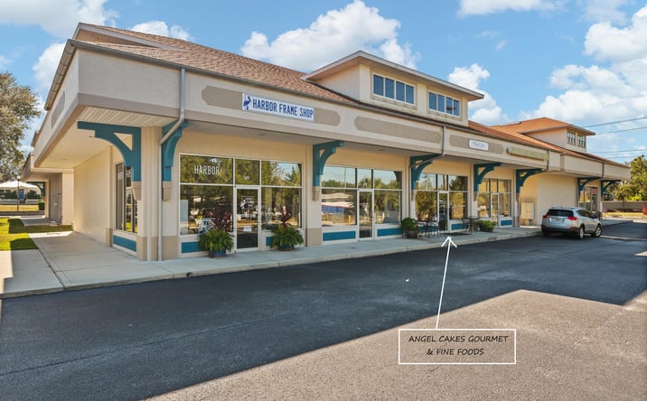 Pictures of Business for Sale property located at 1484 Alt 19, Palm Harbor, FL 34683 for sales - image #1