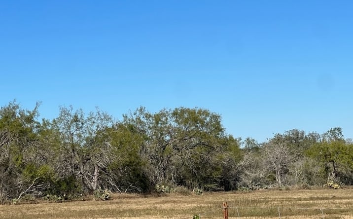 Pictures of Land property located at 0 Red Barn Rd, Poteet, TX 78065 for sales - image #1