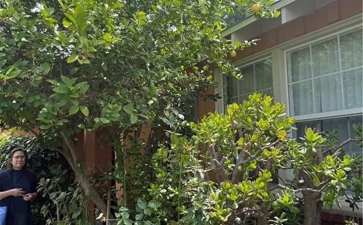 Pictures of Multifamily property located at 6030 Coldwater Canyon, North Hollywood, CA 91606 for sales - image #1