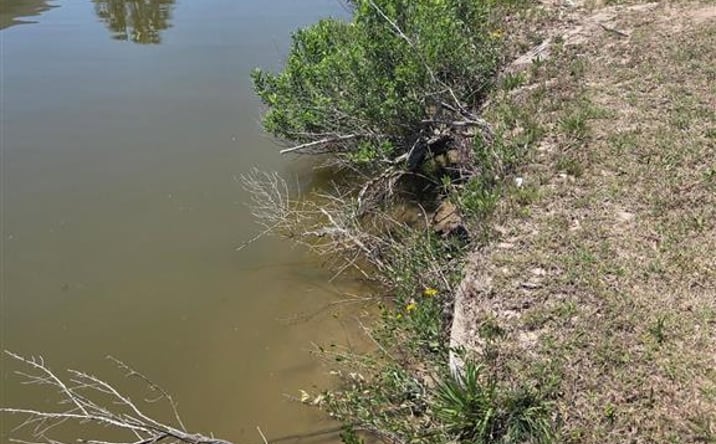 Pictures of Land, Special Purpose property located at Christy Drive, Hackberry, LA 70645 for sales - image #1