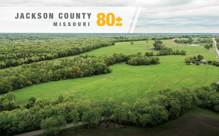 Pictures of Land property located at Raytown Road, Kansas City, MO 64149 for sales - image #1