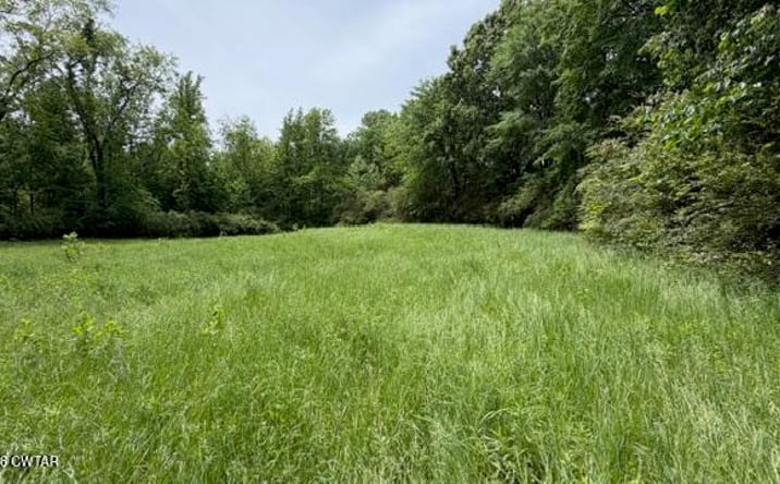 Pictures of Land property located at Terry Road, Cedar Grove, TN 38321 for sales - image #1