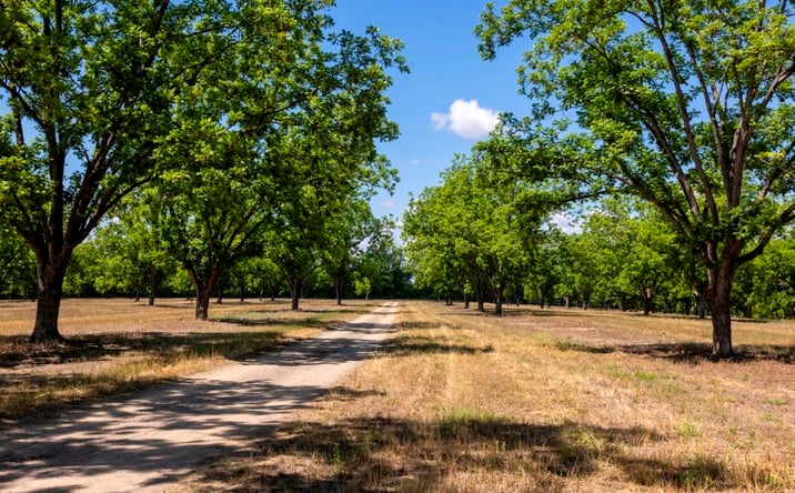Pictures of Mixed Use, Land property located at 16505 Union Road, Metter, GA 30439 for sales - image #1