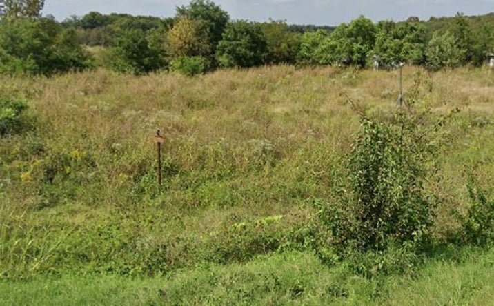 Pictures of Land property located at 10865 Business 21, Hillsboro, MO 63050 for sales - image #1