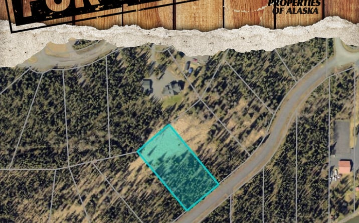 Pictures of Land property located at 876 RIVER ESTS DR, SOLDOTNA, AK 99669 for sales - image #1