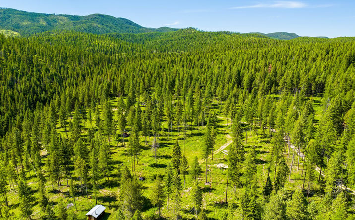 Pictures of Land property located at 991 Sawmill Lane, Kalispell, MT 59901 for sales - image #1