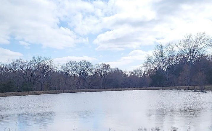 Pictures of Land property located at County Road 1690, Coalgate, OK 74538 for sales - image #1