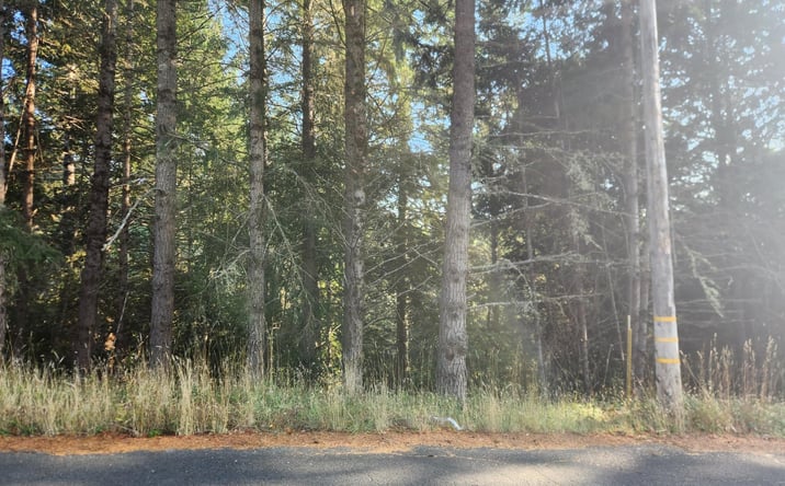 Pictures of Land property located at 768 Redwood Rd, Whitethorn, CA 95589 for sales - image #1