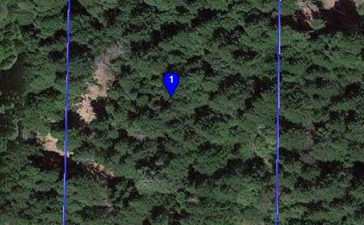 Pictures of Land property located at 840 Spring Road, Alderpoint, CA 95511 for sales - image #1