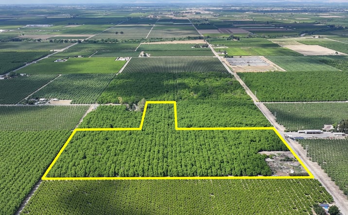 Pictures of Land property located at 2164 7 1/2 Ave, Kingsburg, CA 93631 for sales - image #1
