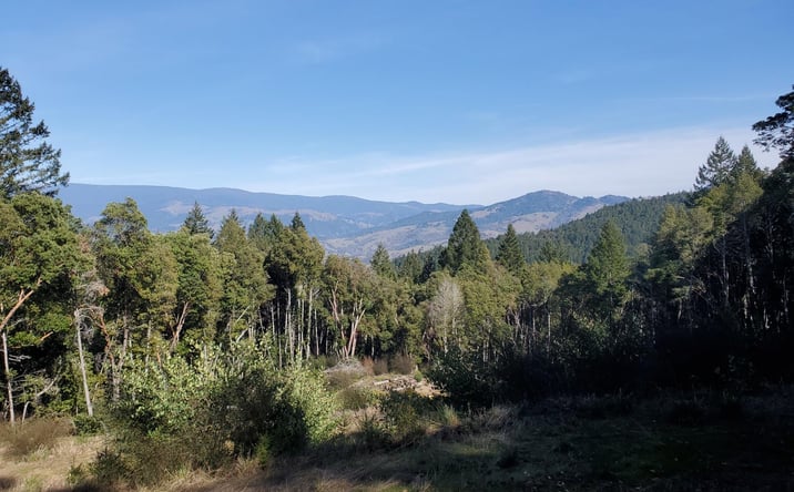 Pictures of Land property located at 700 Willow Road, Alderpoint, CA 95511 for sales - image #1