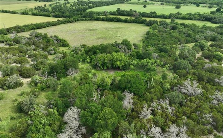 Pictures of Land property located at TBD FM 2905, Hamilton, TX 76531 for sales - image #1