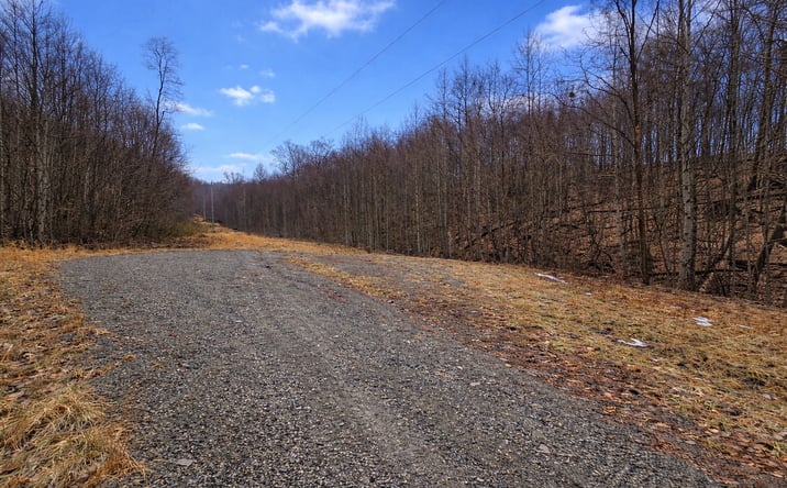 Pictures of Land property located at 2110 North Teter Creek Road, Philippi, WV 26416 for sales - image #1