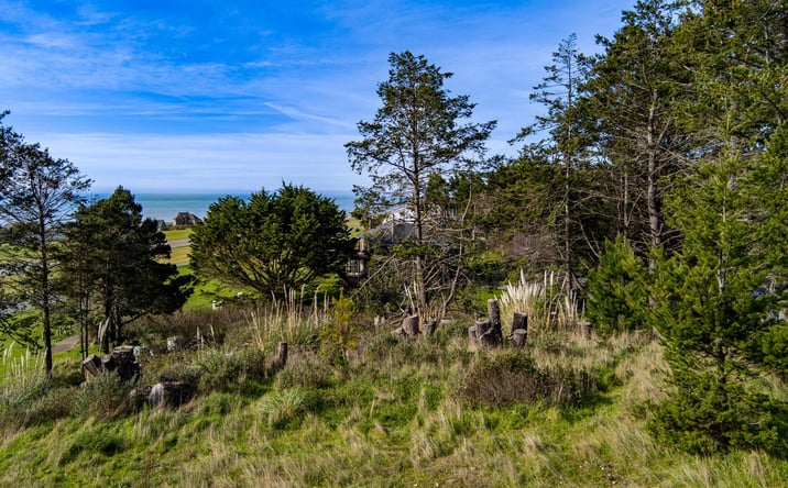 Pictures of Land property located at 1325&1335 Upper Pacific Drive, Shelter Cove, CA 95589 for sales - image #1