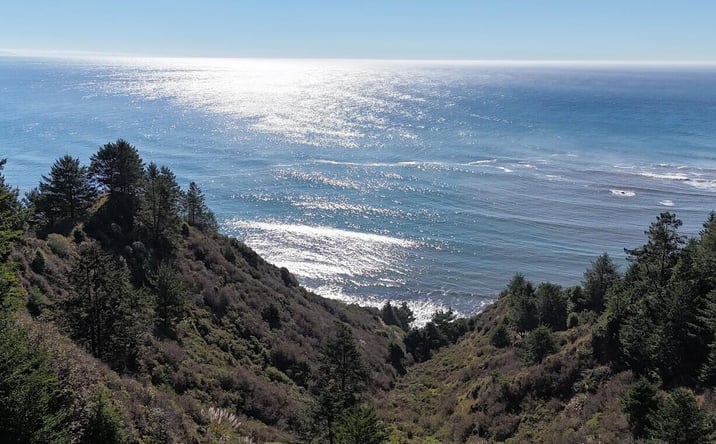 Pictures of Land property located at 141 E Cove Point, Whitethorn, CA 95589 for sales - image #1