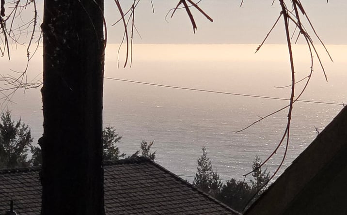 Pictures of Land property located at 90 Spur Ct, Whitethorn, CA 95589 for sales - image #1
