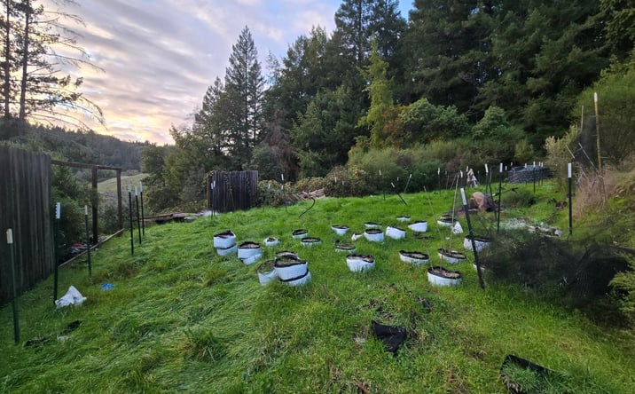 Pictures of Land property located at 250 & 314 Oakcrest Dr, Garberville, CA 95542 for sales - image #1