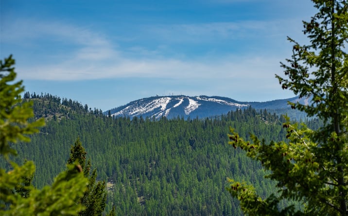 Pictures of Land property located at 689 Springhill Road, Kila, MT 59920 for sales - image #1