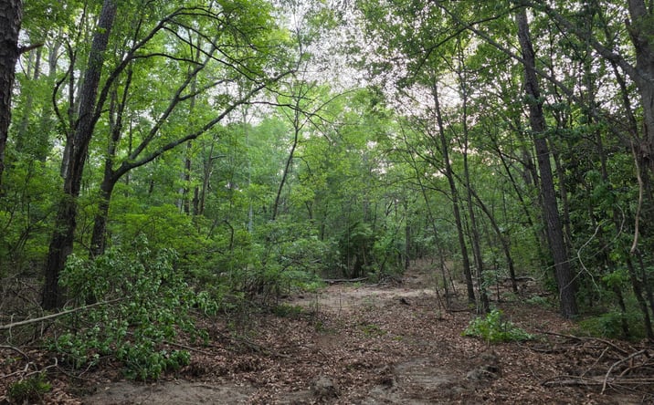Pictures of Land, Special Purpose property located at 7a Woodberry Road, North Augusta, SC 29841 for sales - image #1