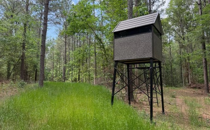 Pictures of Land property located at 346 Collins Camp Road, 52550, LA 71483 for sales - image #1