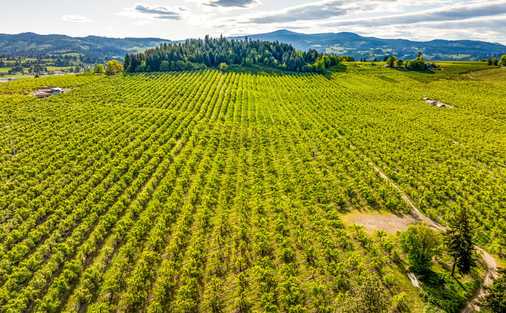 Pictures of Land property located at Neal Creek Mill Road, Hood River, OR 97031 for sales - image #1