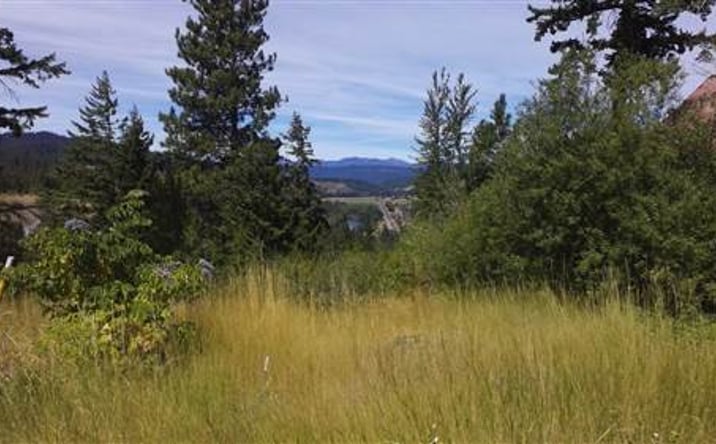 Pictures of Land property located at 17 XX Twin Lakes Rd, Cle Elum, WA 98922 for sales - image #1