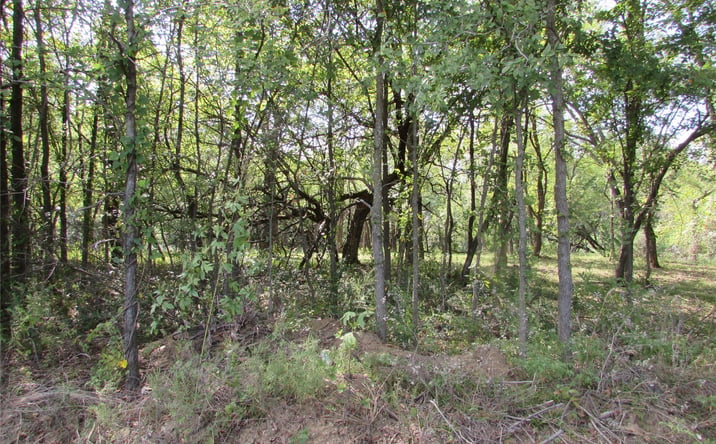 Pictures of Land property located at 123 Gulick Street, Muskogee, OK 74401 for sales - image #1