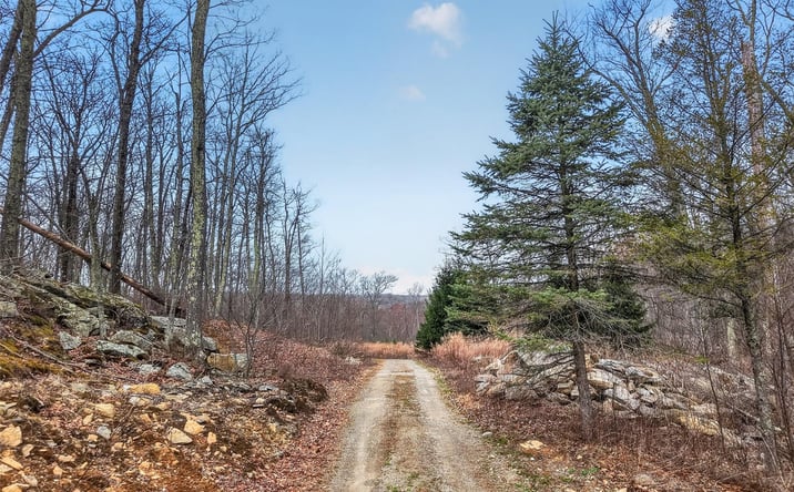 Pictures of Land, Multifamily property located at 545 Grape Hollow Road, East Fishkill, NY 12531 for sales - image #1