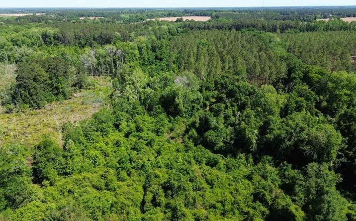 Pictures of Land property located at Reedy Branch Road, Nevils, GA 30458 for sales - image #1