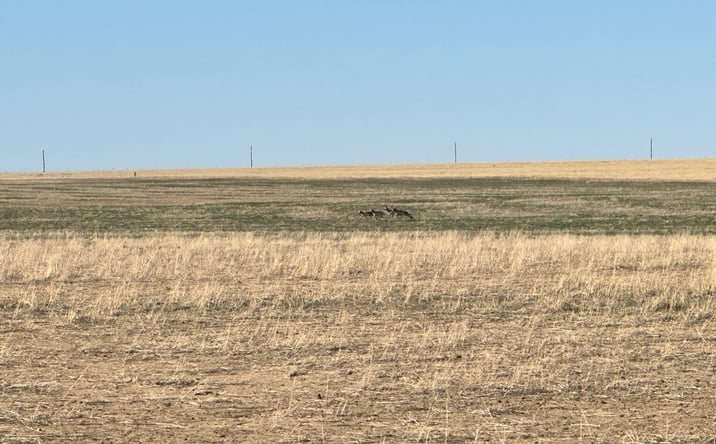 Pictures of Land property located at Sec17.20S.R54W, Arlington, CO 81021 for sales - image #1