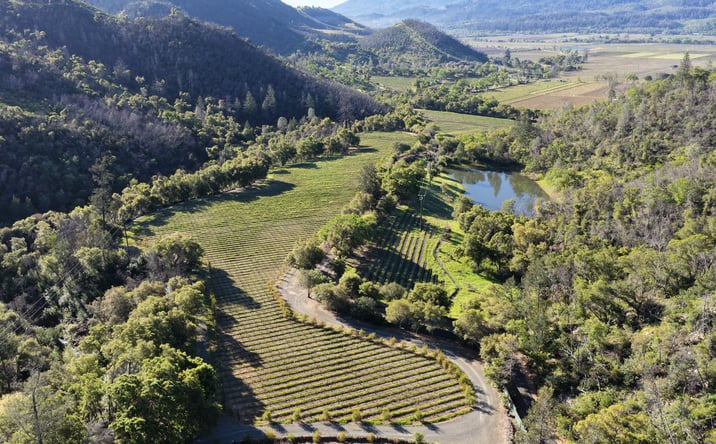 Pictures of Land property located at 255 Dutch Henry Canyon Road, Calistoga, CA 94515 for sales - image #1