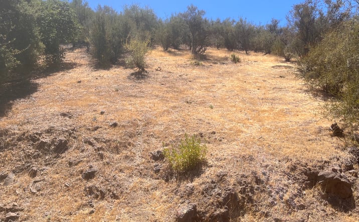 Pictures of Land property located at 0 Renee Dr, Agoura Hills, CA 91301 for sales - image #1